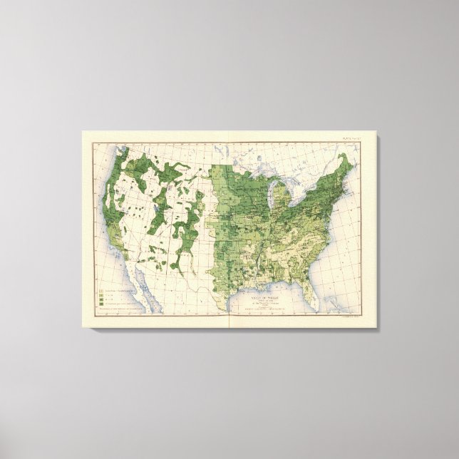 Lienzo 157 Trigo/acre (Anverso)