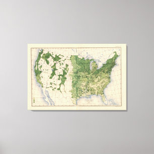 Lienzo 157 trigo/acre