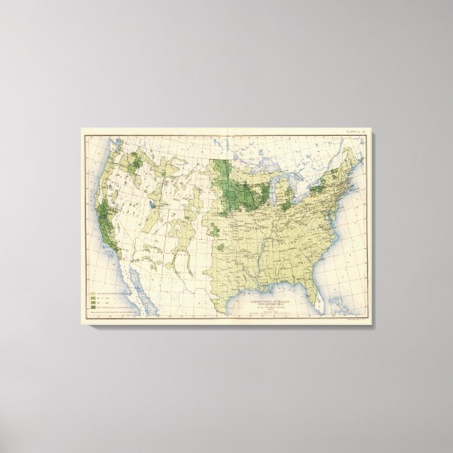 Lienzo 161 Barley/milla cuadrada (Anverso)