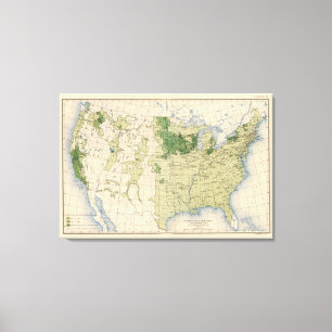 Lienzo 161 Barley/milla cuadrada