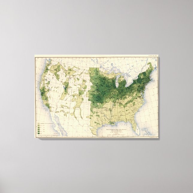 Lienzo 162 Hay, forraje/milla cuadrada (Anverso)