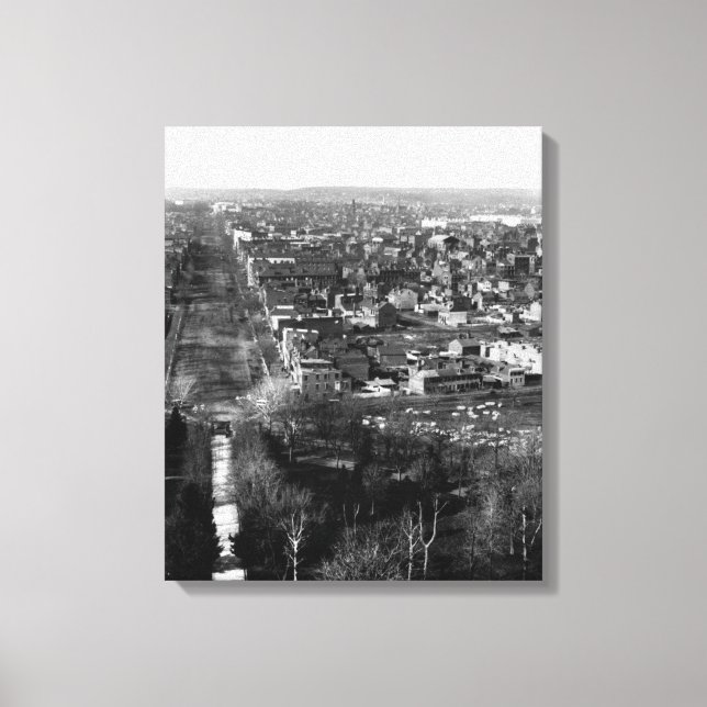 Lienzo 1859: Washington, DC, la capital de los Estados Un (Anverso)