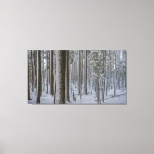 Lienzo #1 alto derecho