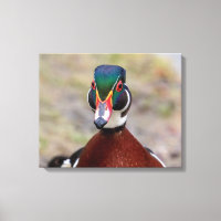 20x16 Pato de madera