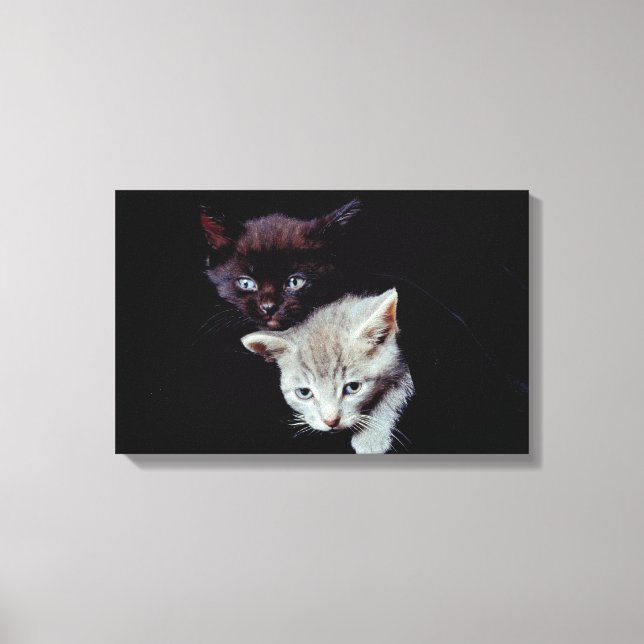 LIENZO 23893007 (Anverso)