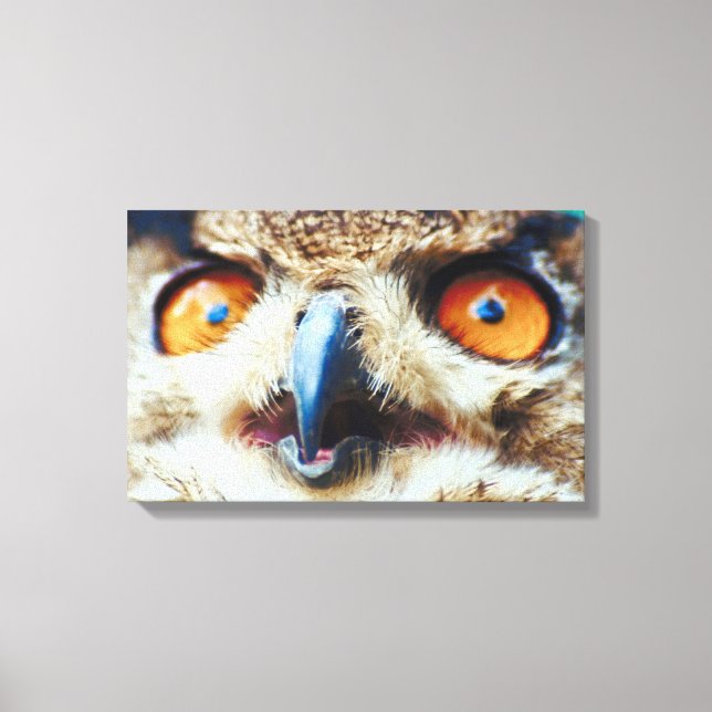 LIENZO 23897325 (Anverso)