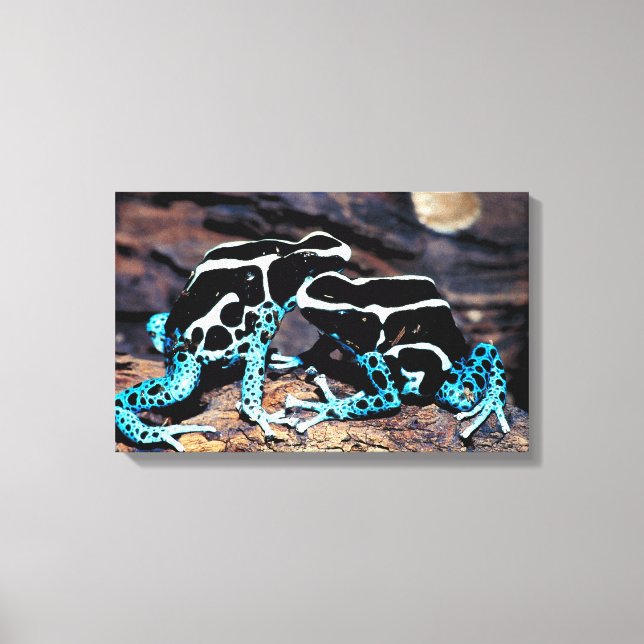 LIENZO 23898179 (Anverso)