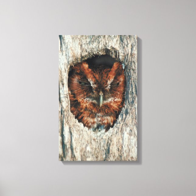 LIENZO 23899023 (Anverso)