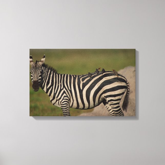 LIENZO 24109277 (Anverso)