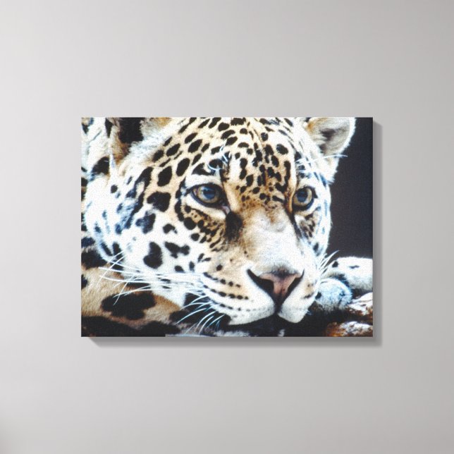 LIENZO 24114363 (Anverso)