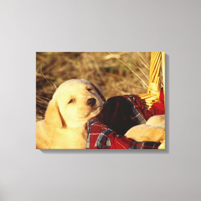 LIENZO 24117967 (Anverso)