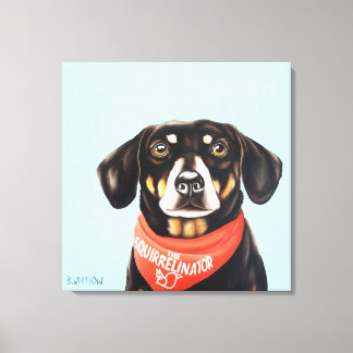Lienzo 24x24 zócalos del Dachshund