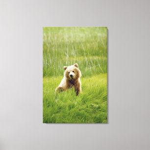 Lienzo 24x36 Tapa de tela estirada Imprimir con cachorro 