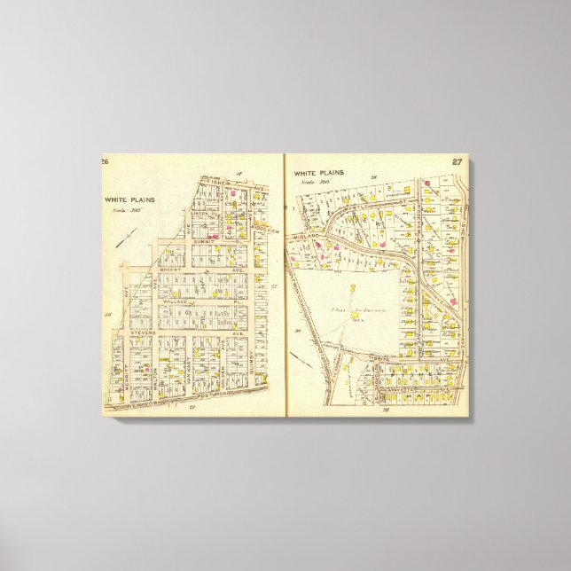 Lienzo 26-27 Llanuras Blancas (Anverso)