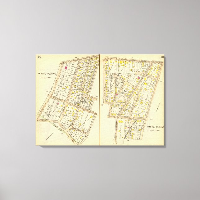 Lienzo 30-31 Llanuras Blancas (Anverso)