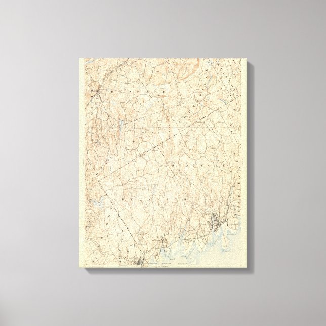 Lienzo 31 Hoja Stamford (Anverso)