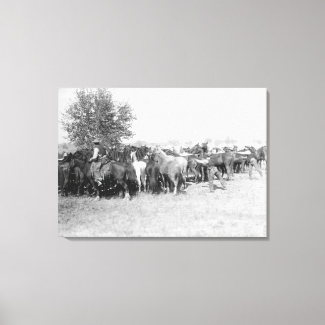 Lienzo 3 Vaqueros montando fotos de caballos en Dakota de (Anverso)