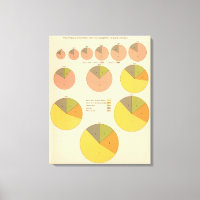 42 Población, elementos 1790-1900