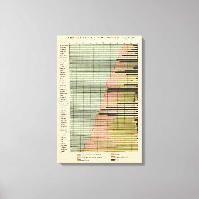 Lienzo 45 Población masculina 1900 (Anverso)