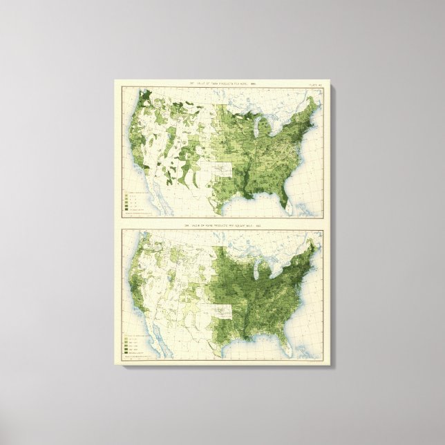 Lienzo 45 Productos agrícolas de valor 1890 (Anverso)