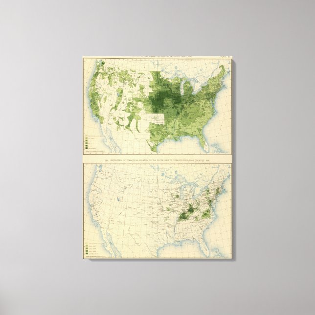 Lienzo 51 Cereales, tabaco 1890 (Anverso)