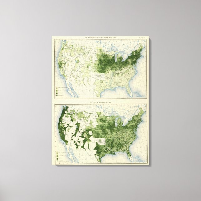 Lienzo 53 Hay 1890 (Anverso)