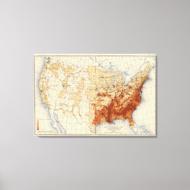 Lienzo 55 Población negra de densidad (Anverso)