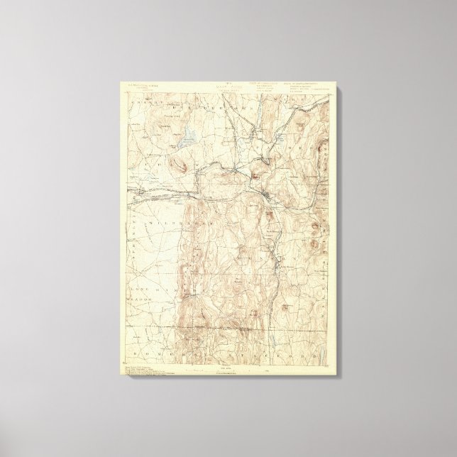 Lienzo 5 Hojas de palmera (Anverso)