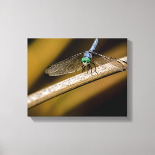 Lienzo 8379-2-Flélula azul