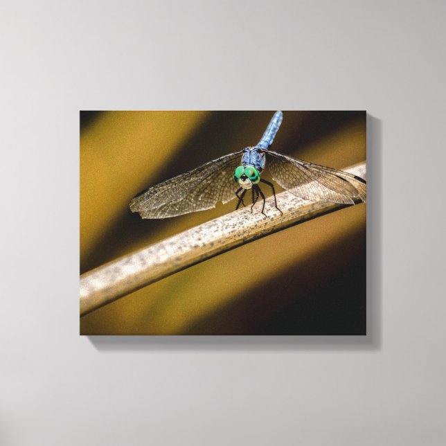 Lienzo 8379-2-Flélula azul (Anverso)