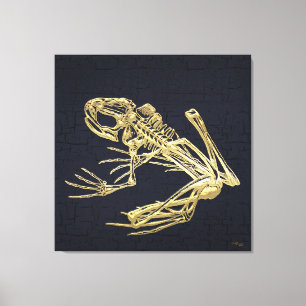 Lienzo 999.9: Esqueleto de rana