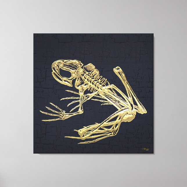 Lienzo 999.9: Esqueleto de rana (Anverso)