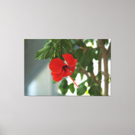 Lienzo A beautiful bridal bouquet poster