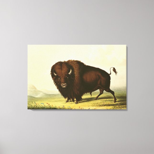 Lienzo A Bison, c.1832 (Anverso)
