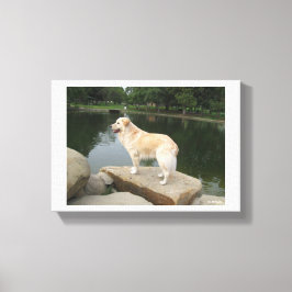 Lienzo A Dog At A Pond