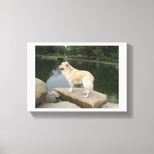 Lienzo A Dog At A Pond (Anverso)