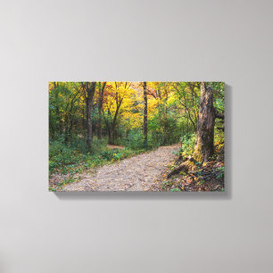 Lienzo a lo largo de la sinuosa ruta forestal de las coli