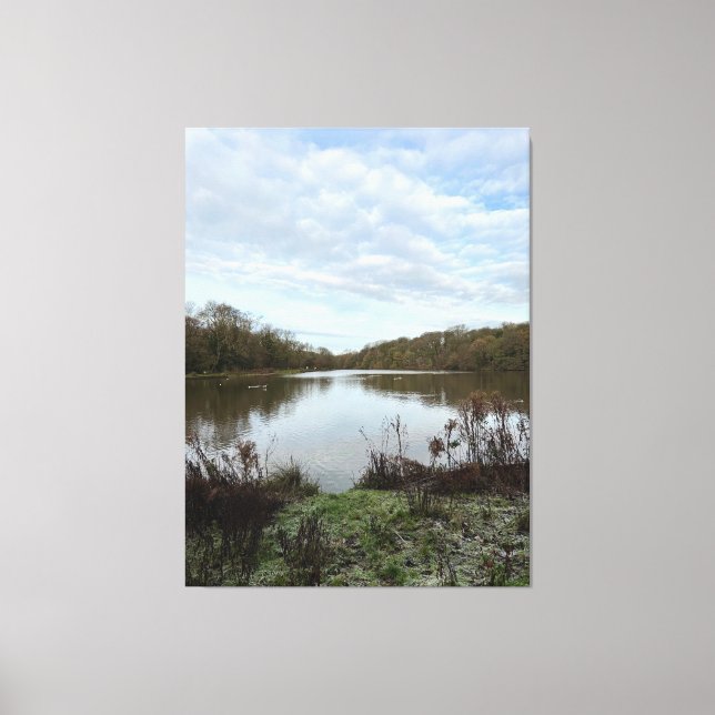 Lienzo A peacful lake.. (Anverso)