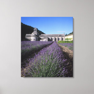 Lienzo Abadía Senanque, Gordes, Vaucluse, Provenza,