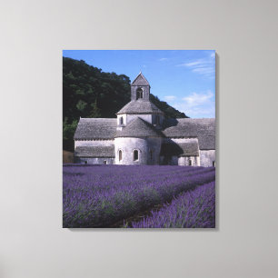 Lienzo Abadía Senanque, Gordes, Vaucluse, Provenza, 2