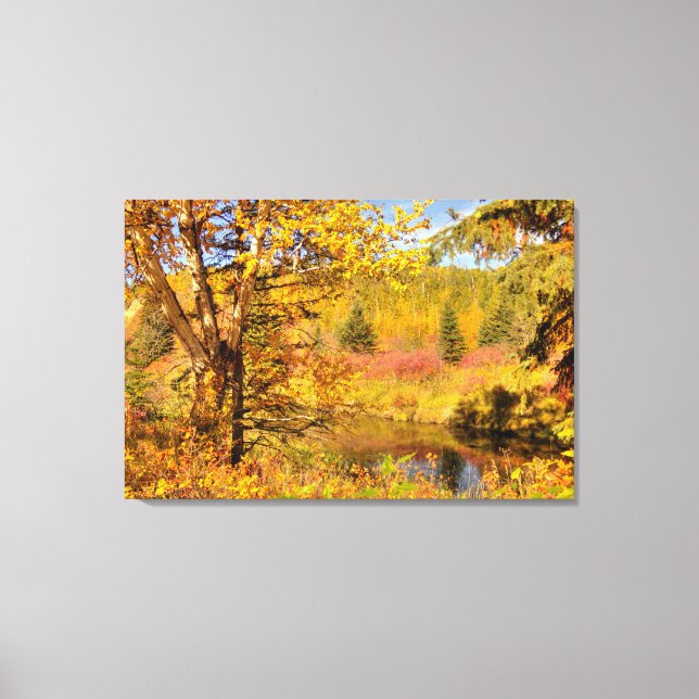 Lienzo Abedul de otoño (Anverso)