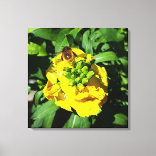 Lienzo Abeja a las flores amarillas