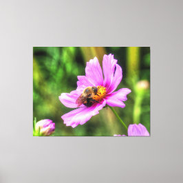 Lienzo Abeja de burbujas en cosmos rosados