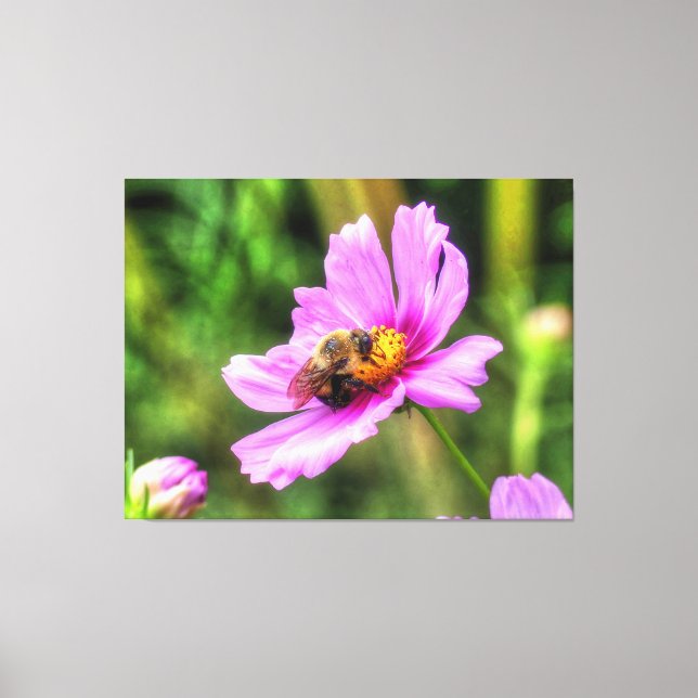 Lienzo Abeja de burbujas en cosmos rosados (Anverso)