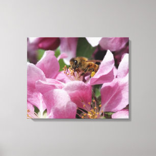 Lienzo Abeja de miel Polinizante Crabapple Rosado Blossom
