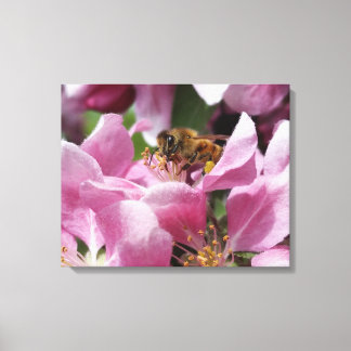 Lienzo Abeja de miel Polinizante Crabapple Rosado Blossom