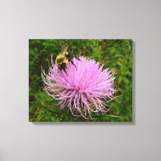 Lienzo Abeja en Flor de Cardo Naturaleza