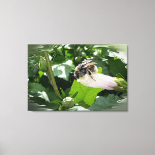 Lienzo Abeja en verano