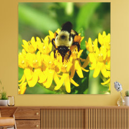 Lienzo Abeja festejando en flores silvestres de la hierba