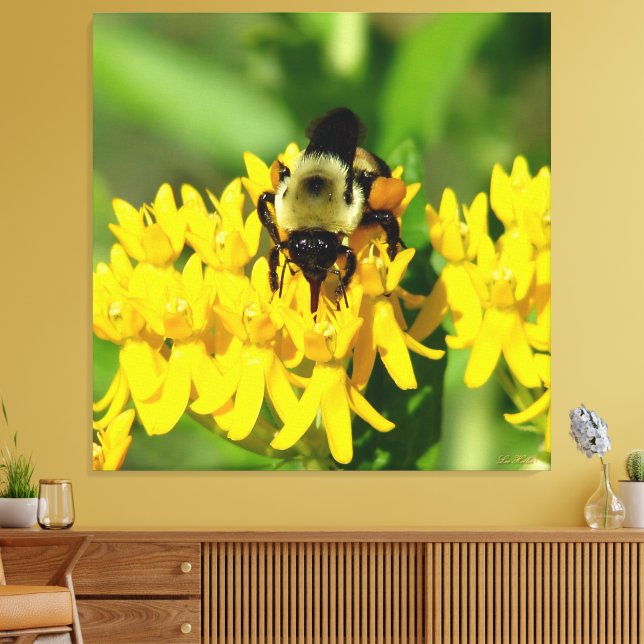 Lienzo Abeja festejando en flores silvestres de la hierba (Insitu (Sala de estar))